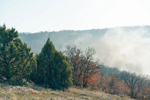 Sonbahar kırsal manzarası. Dağlar ve ormanlar sabah sisiyle kaplı.