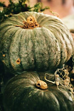 Kabaklarla kırsal sonbahar dekorasyon düzenlemesi