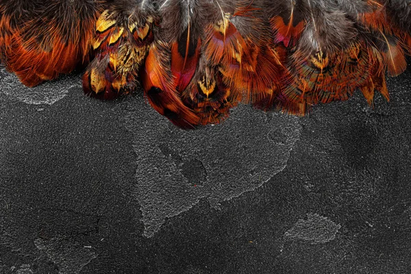 Koyu dokulu arkaplanda sülün tüyleri, kopyalama alanı