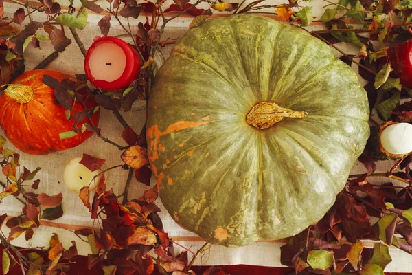 Vacker höst bord inredning med grön pumpa — Stockfoto