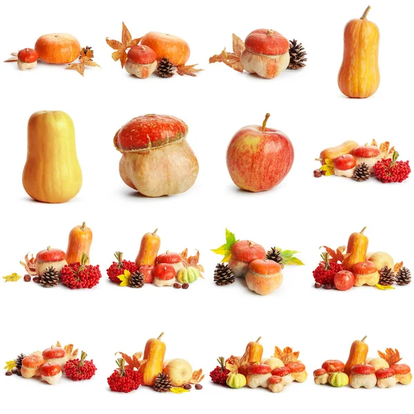 Banner von Herbst gelb, orange und rot Gemüse und Obst isoliert auf weißem Hintergrund, Draufsicht, flaches Layout. Kreatives Muster — Stockfoto