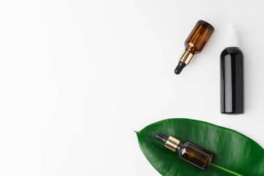 Beyaz arka planda yeşil yapraklı küçük bir şişedeki temel yağ.