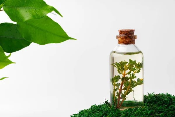 Cosmetics in a bottle, essential oil on moss — Stock Photo, Image