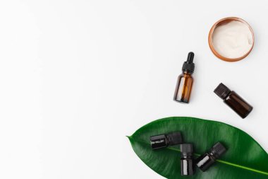 Beyaz arka planda yeşil yapraklı küçük bir şişedeki temel yağ.