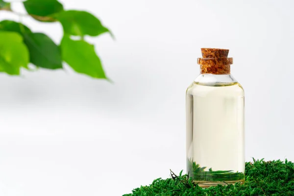 Cosmetics in a bottle, essential oil on moss — Stock Photo, Image