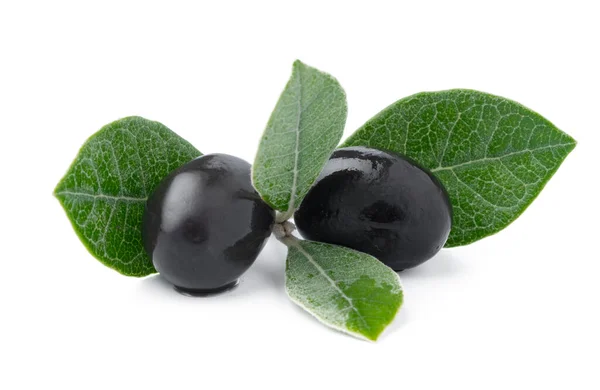 Czarne oliwki z liśćmi odizolowanymi na białym tle — Zdjęcie stockowe
