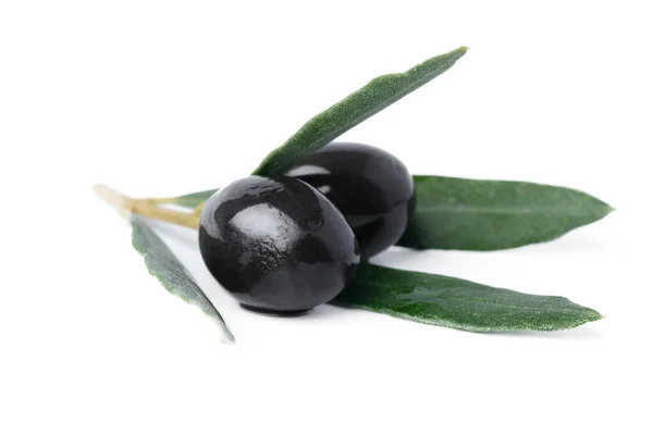 Czarne oliwki z liśćmi odizolowanymi na białym tle — Zdjęcie stockowe
