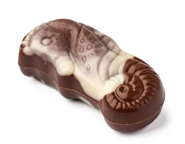 Doces de chocolate em forma de conchas isoladas em fundo branco — Fotografia de Stock