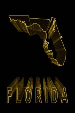 Florida Haritası, Siyah Arkaplan Altın Haritası, Altın Efekt