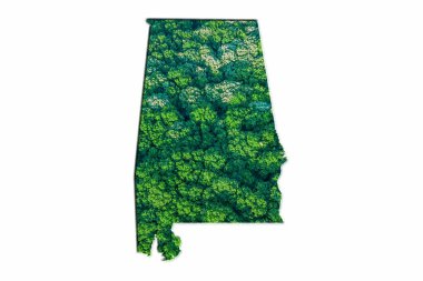 Alabama Yeşil Orman Haritası, beyaz arkaplanda