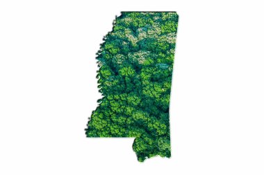Beyaz arka planda, Mississippi Yeşil Orman Haritası
