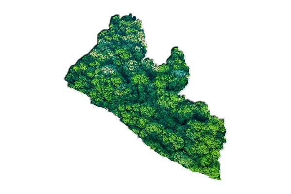 Peta Hutan Hijau Liberia Dengan Latar Belakang Putih — Stok Foto