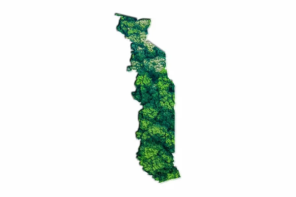 Зелена Лісова Мапа Білому Тлі — стокове фото