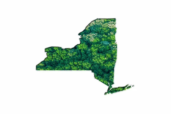 Green Forest Map New York White Background — Stock Photo, Image