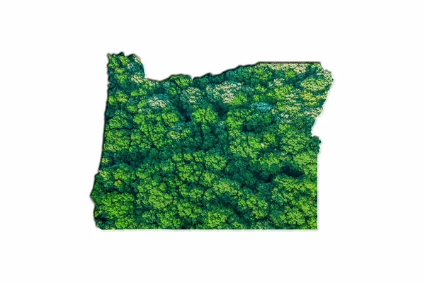 Зелена Лісова Мапа Орегону Білому Тлі — стокове фото