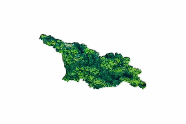 Зелена Лісова Мапа Грузії Білому Тлі — стокове фото