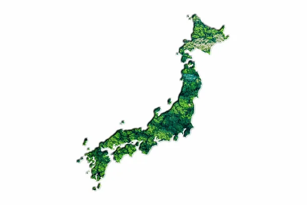 Mapa Del Bosque Verde Japón Sobre Fondo Blanco —  Fotos de Stock