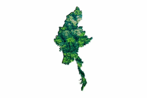 Mapa Del Bosque Verde Myanmar Sobre Fondo Blanco —  Fotos de Stock