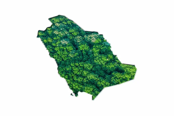 Green Forest Map Saudi Arabia White Background — стокове фото