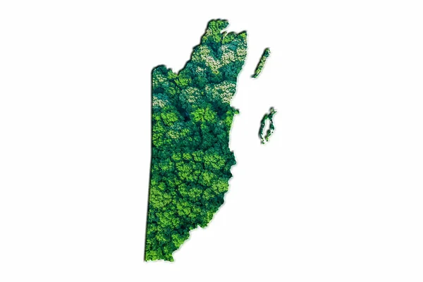Зелена Лісова Мапа Белізу Білому Тлі — стокове фото