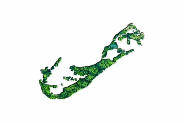 Зелена Лісова Мапа Бермудських Островів Білому Тлі — стокове фото