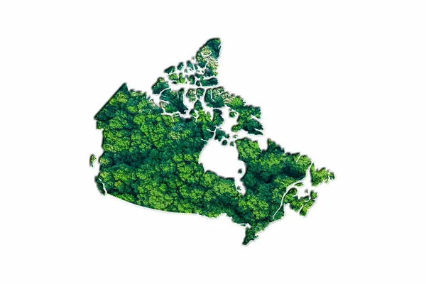 Green Forest Karta Över Kanada Vit Bakgrund — Stockfoto