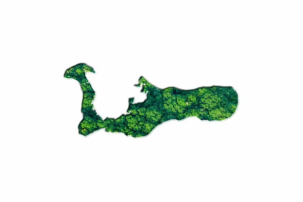 Зелена Лісова Мапа Кайманових Островів Білому Тлі — стокове фото