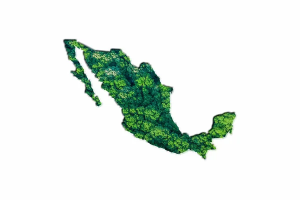 メキシコの緑の森地図白い背景 — ストック写真