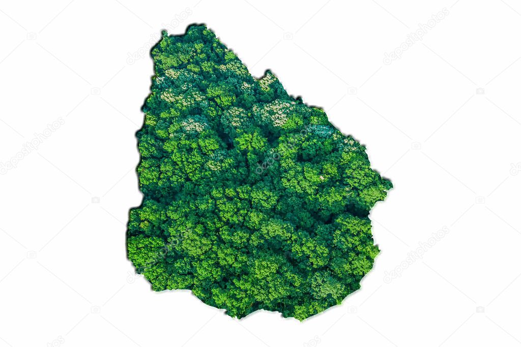 Green Forest Map of Uruguay, on white background