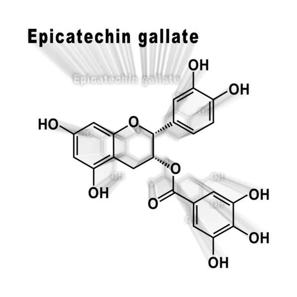 Galato Epicatequina Fórmula Química Estructural Sobre Fondo Blanco —  Fotos de Stock