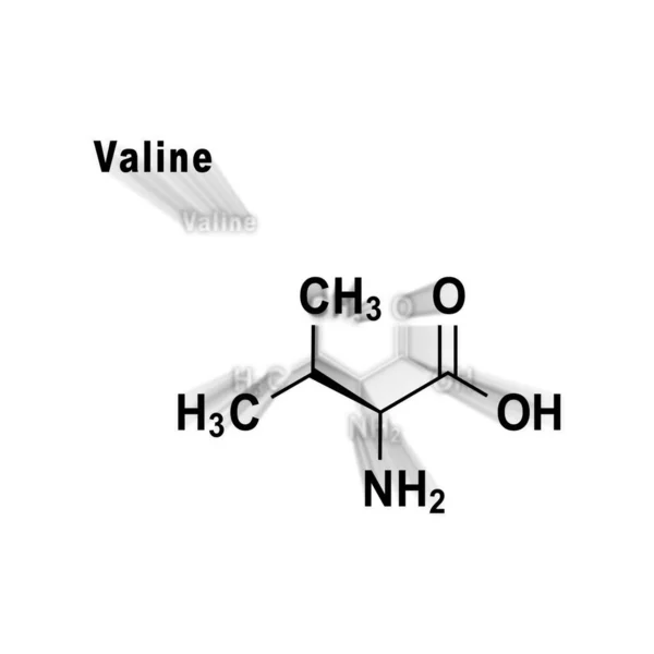 Valine Valine Val Aminozuur Chemische Structuur Een Witte Achtergrond — Stockfoto