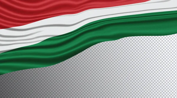 헝가리 깃발을 흔들며 행진하는 — 스톡 사진