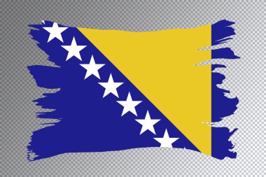 Bosna-Hersek bayrak fırça darbesi ve şeffaf arkaplanda ulusal bayrak