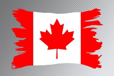 Kanada bayrağı fırça darbesi, şeffaf arkaplanda ulusal bayrak