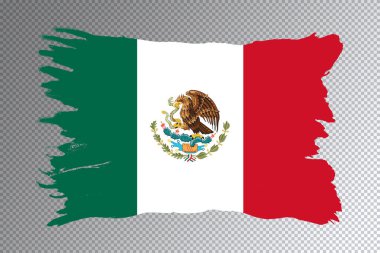 Meksika bayrağı fırça darbesi, şeffaf arka planda ulusal bayrak