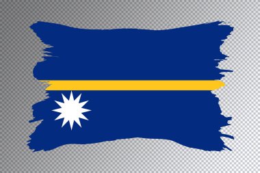 Nauru bayrağı fırça darbesi, şeffaf arkaplanda ulusal bayrak