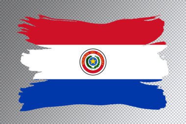 Paraguay bayrağı fırça darbesi, şeffaf arkaplanda ulusal bayrak