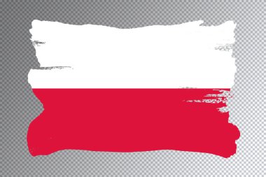 Polonya bayrağı fırça darbesi, şeffaf arkaplanda ulusal bayrak