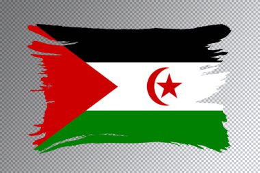 Sahra Arap Demokratik Cumhuriyeti bayrak darbesi, şeffaf arkaplanda ulusal bayrak