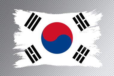 Güney Kore bayrak fırça darbesi, şeffaf arka planda ulusal bayrak