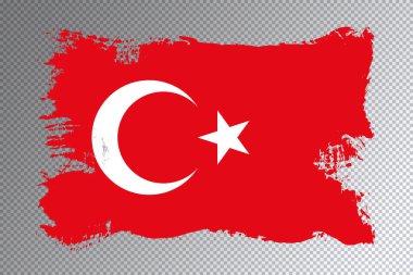 Türkiye bayrağı fırça darbesi ve şeffaf arkaplanda ulusal bayrak