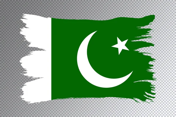 Pakistan Flag Brush Stroke National Flag Transparent Background — Stock Photo, Image
