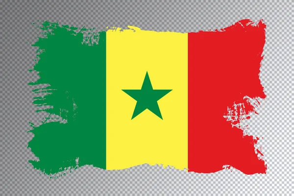 Senegal Flag Perie Accident Vascular Cerebral Steag Național Fundal Transparent — Fotografie, imagine de stoc