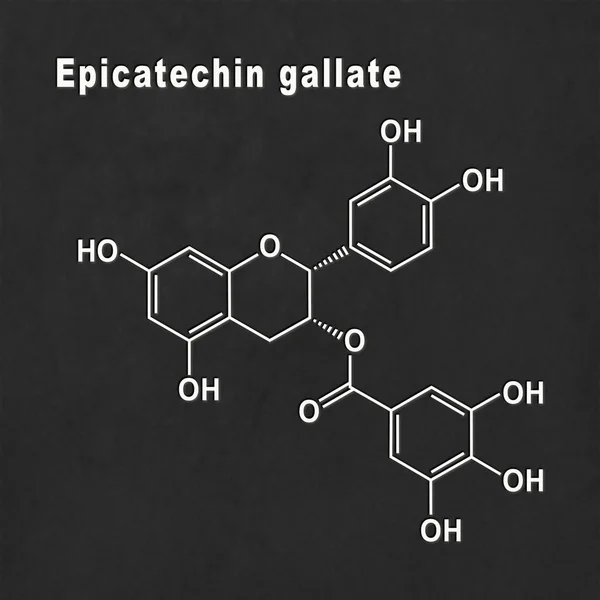Galato Epicatequina Fórmula Química Estructural Blanco Sobre Fondo Negro —  Fotos de Stock