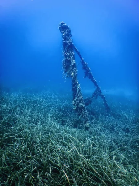 Scheepswrak Het Blauwe Water Roestig Scheepswrak Met Groeiende Koralen Onderwater — Stockfoto
