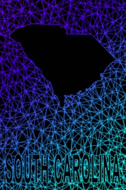 Güney Carolina haritası, Çokgen ağ çizgisi haritası, modern renkli harita