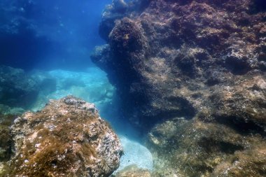 Deniz Yaşamı Su Altında Kayalar Güneş Işığı, Su Altında Yaşam, Vahşi Yaşam