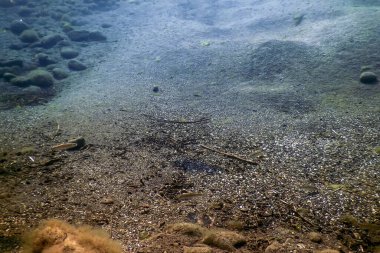 Su altı çakıl taşları ve çakıl taşları, tatlı su nehirleri su altında, kristal berrak su, nehir yatağında çakıl taşları