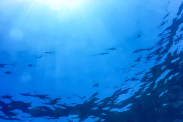 Underwater view of the sea surface, Underwater background