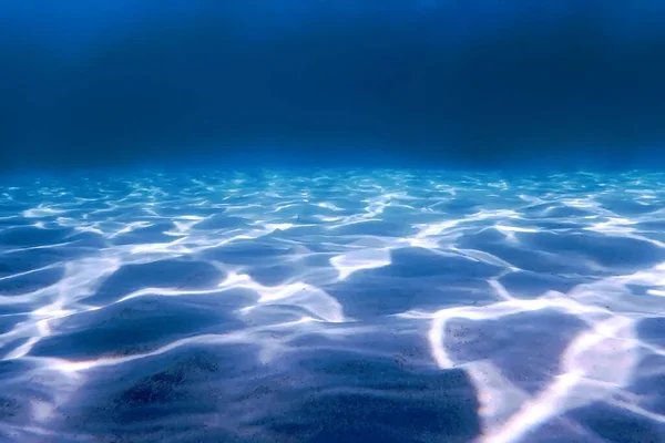 Sandbotten Marint Liv Undervattensbakgrund — Stockfoto